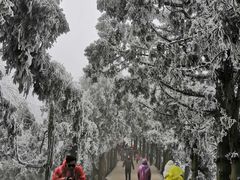-南岳衡山风景名胜区