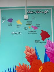 -呼拉汇舞蹈生活馆 Hawaii Hula&Tahiti Dance Studio