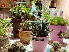 -苏州艺都古玩花鸟市场