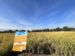 -祥云墅彩翼儿童美术馆(房山长阳店)