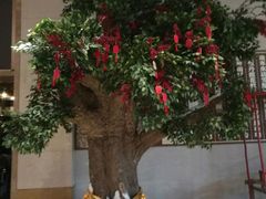 -红豆杉庄会议中心