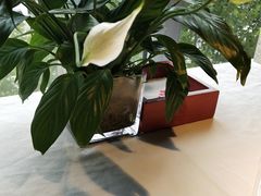 餐具摆设-大鸭梨烤鸭(枣园店)