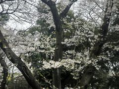 -东京国立博物馆