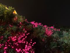 -密云玫瑰情园