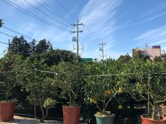 -朕悦鹧鸪饭私房菜