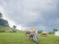 -神户市立六甲山牧场