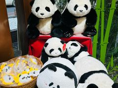 -轩客会(熊猫书店)