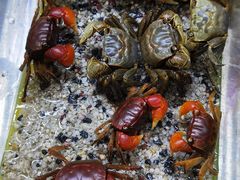 -三旗百汇商品城