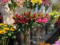 -双季花艺园艺市场(浦东店)