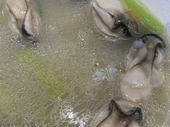 -阿四台山黄鳝饭(东门店)