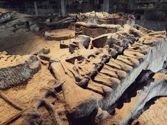 -自贡恐龙博物馆