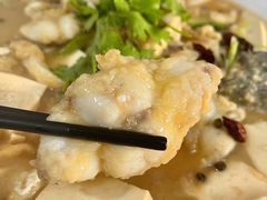 -煲来饱去冷水鱼