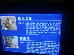 -洛阳龙门海洋馆