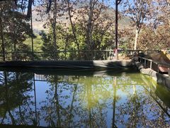 -攀枝花公园