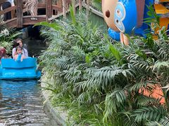 -南宫五洲植物乐园