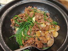 -辛香味烧鱼馆·非遗技艺·排骨红烧肉(光谷医药园店)