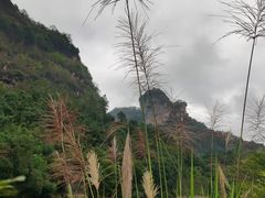 -武夷山风景名胜区-玉女峰