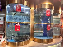 -蜀滋香鲜鱼美蛙火锅(339店)