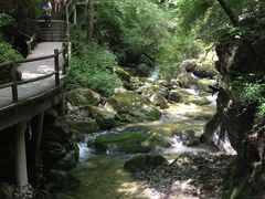 -牛背梁国家森林公园