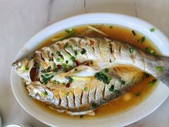 清蒸白鱼-小陆莲花蟹园农家乐(莲花岛店)