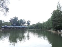 -金花茶公园