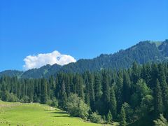 -新疆那拉提国家旅游度假区