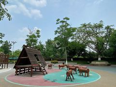 -成飞公园