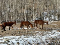 -云座·时光·观景咖啡厅(五爷庙店)
