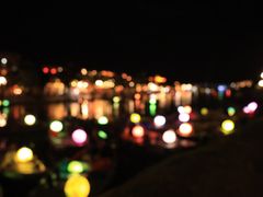 -胡志明市美术馆