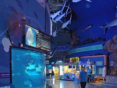 -烟台海昌鲸鲨海洋公园