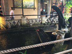 -优之名鹅城