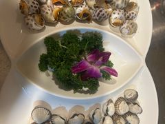 -国惠大酒楼(宝龙店)