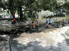 -成都市活水公园