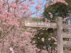 -南山植物园