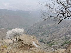 -北京鹫峰国家森林公园