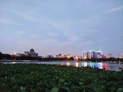 -莲花池公园
