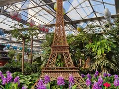 -南宫五洲植物乐园