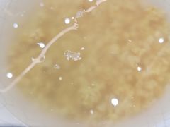 甜醅-清真·益鑫羊肉手抓馆(花园北街店)