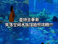-三亚亚特兰蒂斯度假区