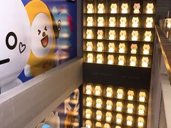 -line friends(明洞旗舰店)