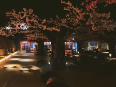 -蓝鲸湾汤泉(包河店)