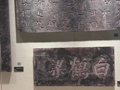 -白鹤梁水下博物馆