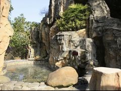 -明月山天沐温泉度假村