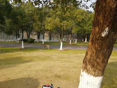 -艾溪湖湿地公园