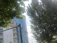 -白鹿原坐席臊子面(纺织城客运站店)