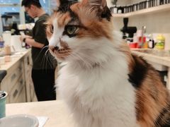 -玫瑰咖啡(中山六路店)