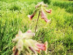 -汉景帝阳陵博物院