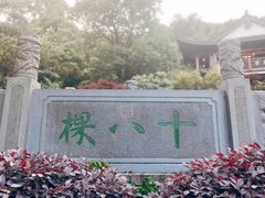 -龙井村