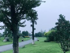 -瑶湖郊野森林公园