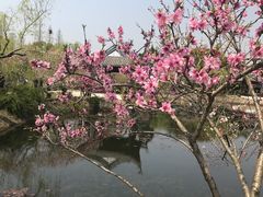 -苏州上方山国家森林公园